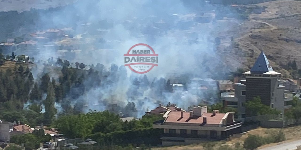 Konya Meram'da ağaçlık alanda yangın paniği