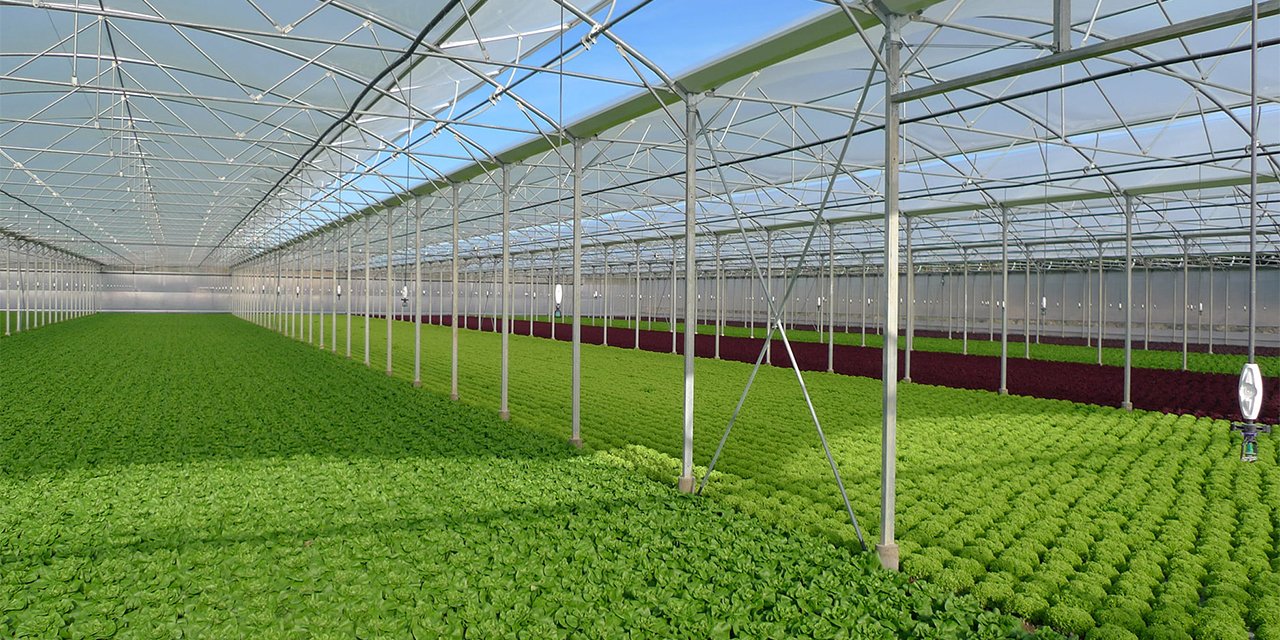 Selçuklu'nun yüzde 70 hibeli seracılık projesine başvurular başladı