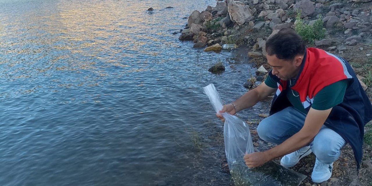 Konya’da balıkçıları sevindiren gelişme