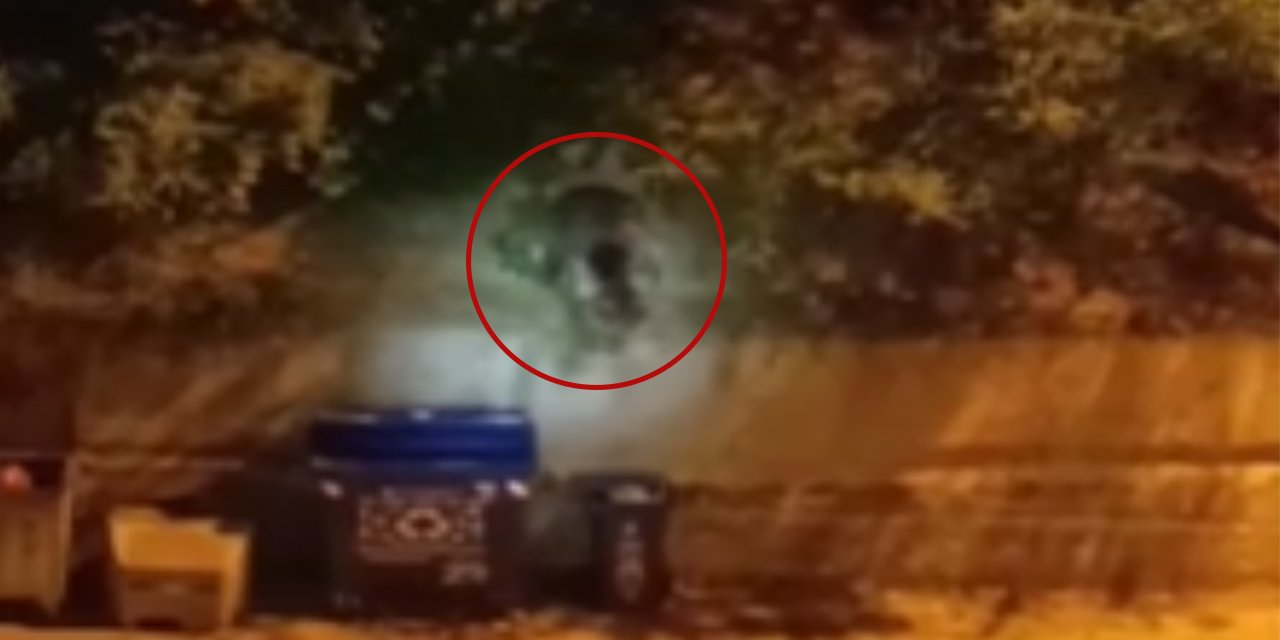 Site bahçesinde ayı paniği kameralara yansıdı