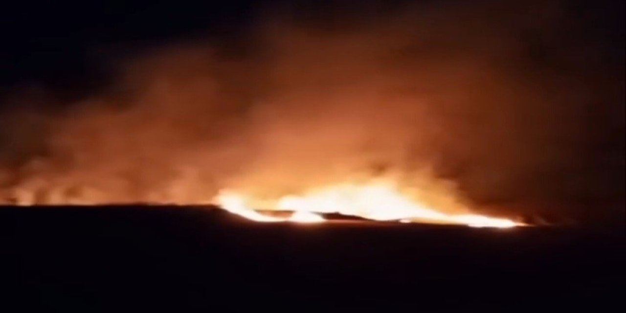 20 dönüm buğday tarlası kül oldu