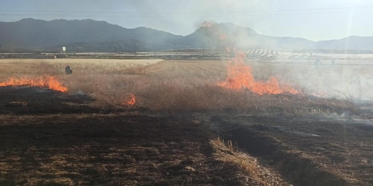 Konya’da 4 dönüm ekili arazi kül oldu