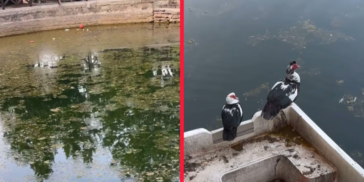Konya’nın ünlü parkı pislik içinde