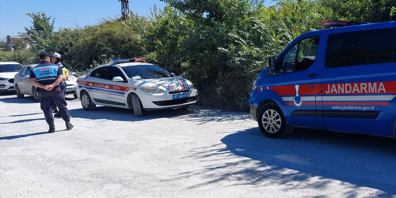 Manavgat’ta firari aslan paniği: 1 kişiyi yaraladı