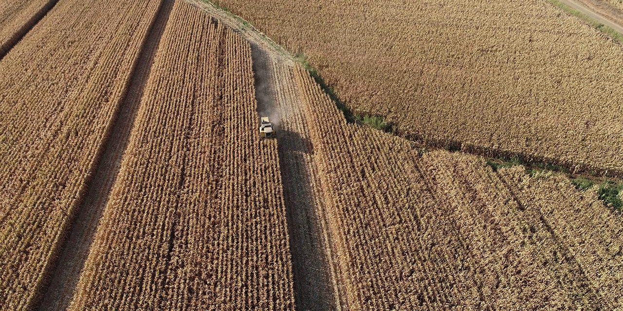Tarımsal hasılada tarihi zirve! Türkiye ilk kez 70 milyar dolarlık eşiği aştı