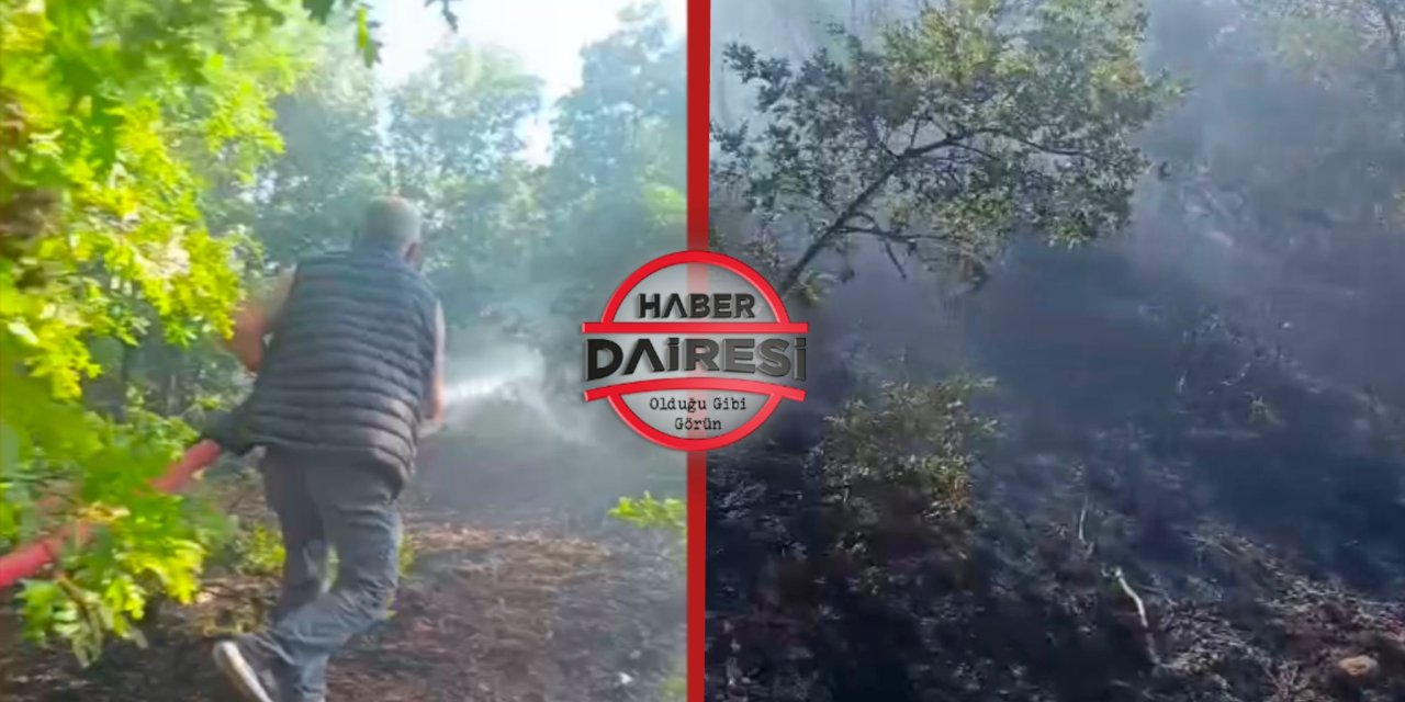 Konya’da orman yangını paniği