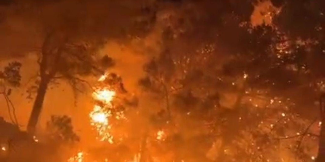Hatay Samandağ'da orman yangını çıktı