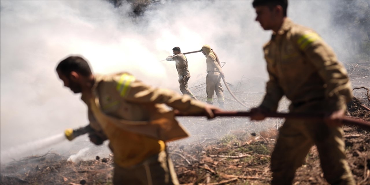 Yangınlara karşı 39 bin gönüllü sahada mücadele ediyor