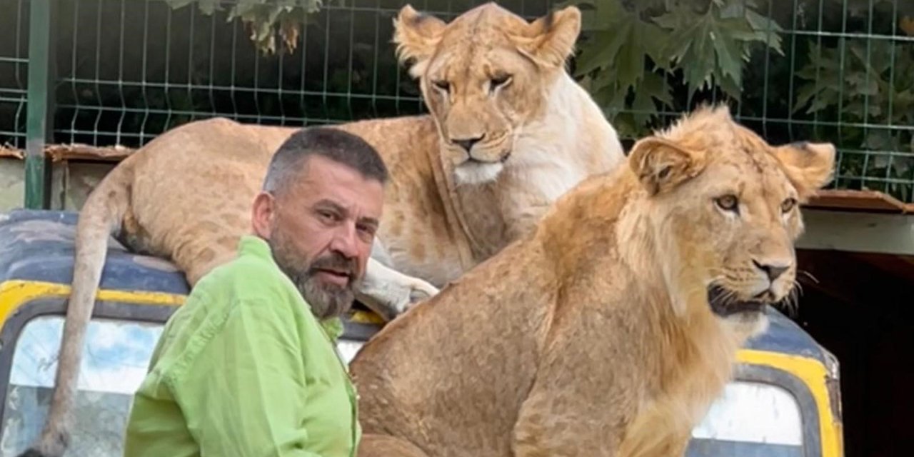 Çiftçiye saldıran aslanın sahibinden şaşırtan açıklama