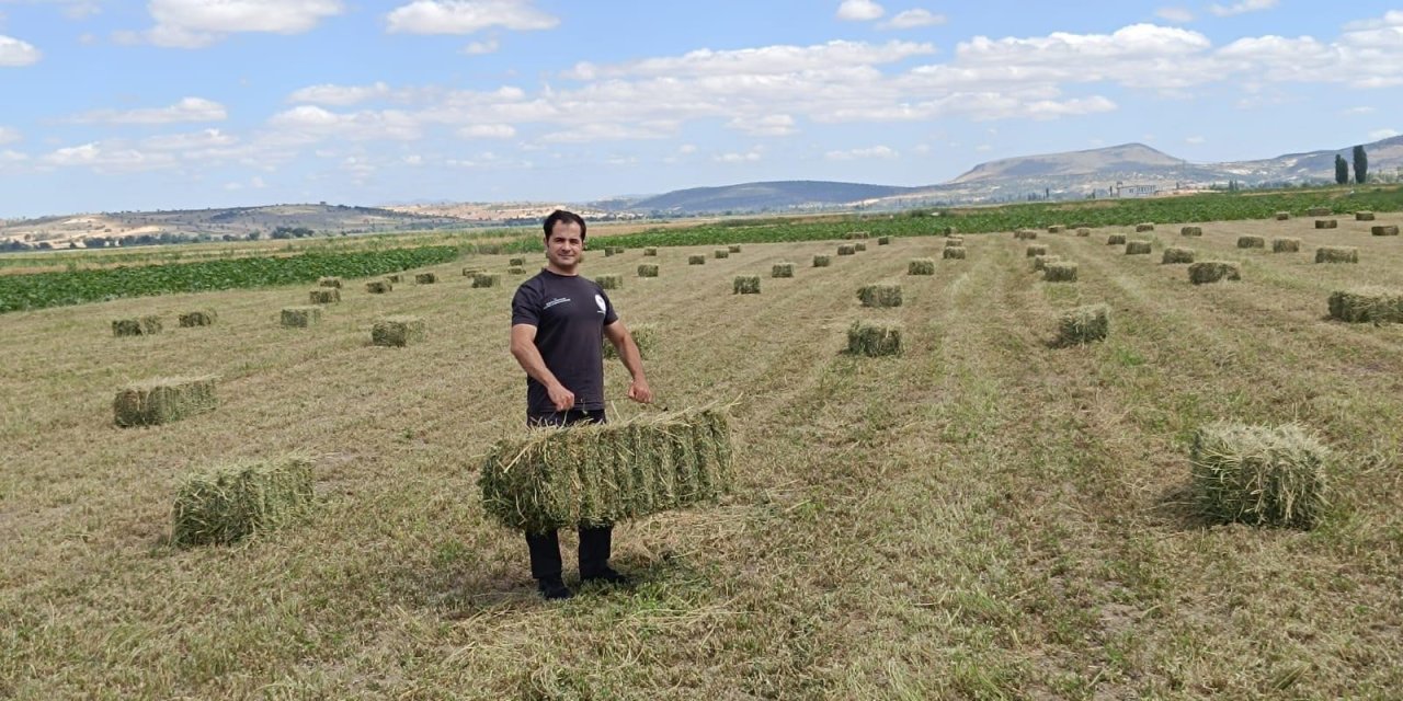 Hayvancılığın geleceği Konya'nın hibe destekli arazilerinde saklı