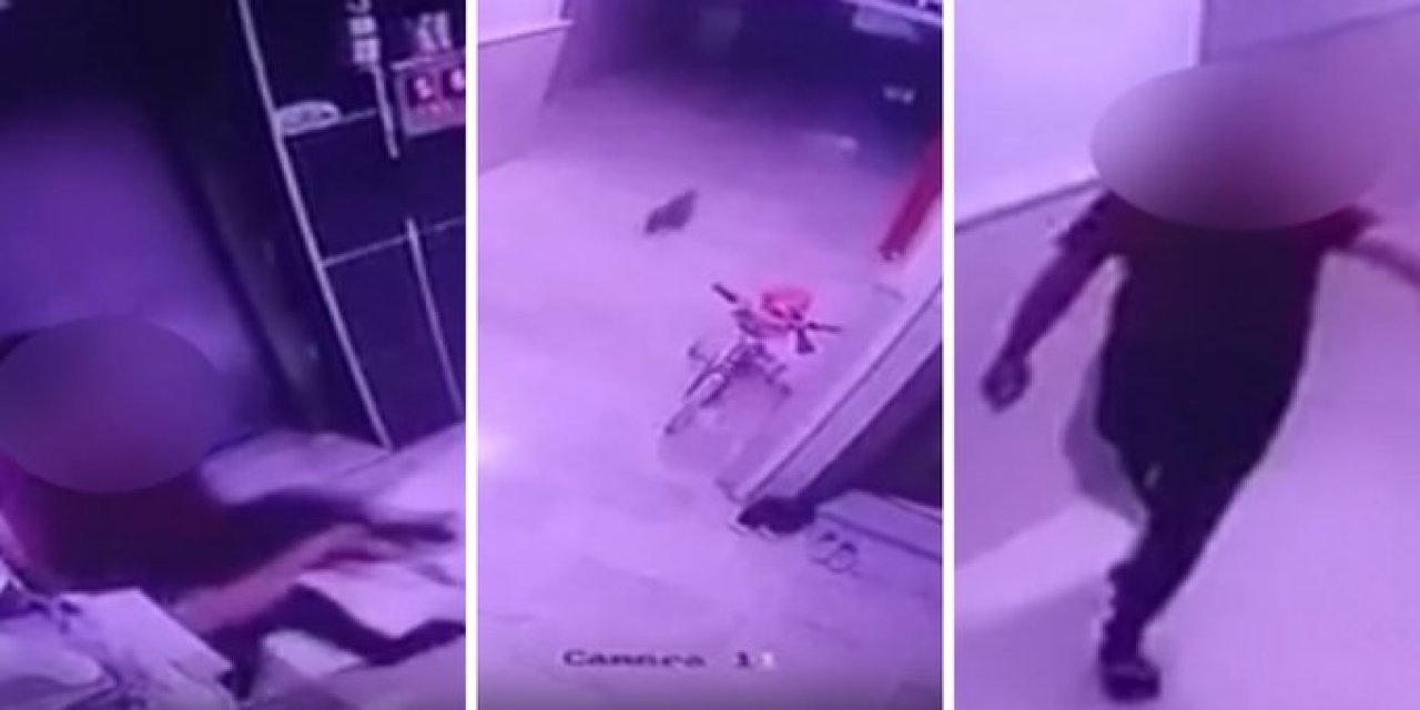 Yer Konya! Kediye yaptıkları kameraya yansıyan şüpheli için hesap zamanı