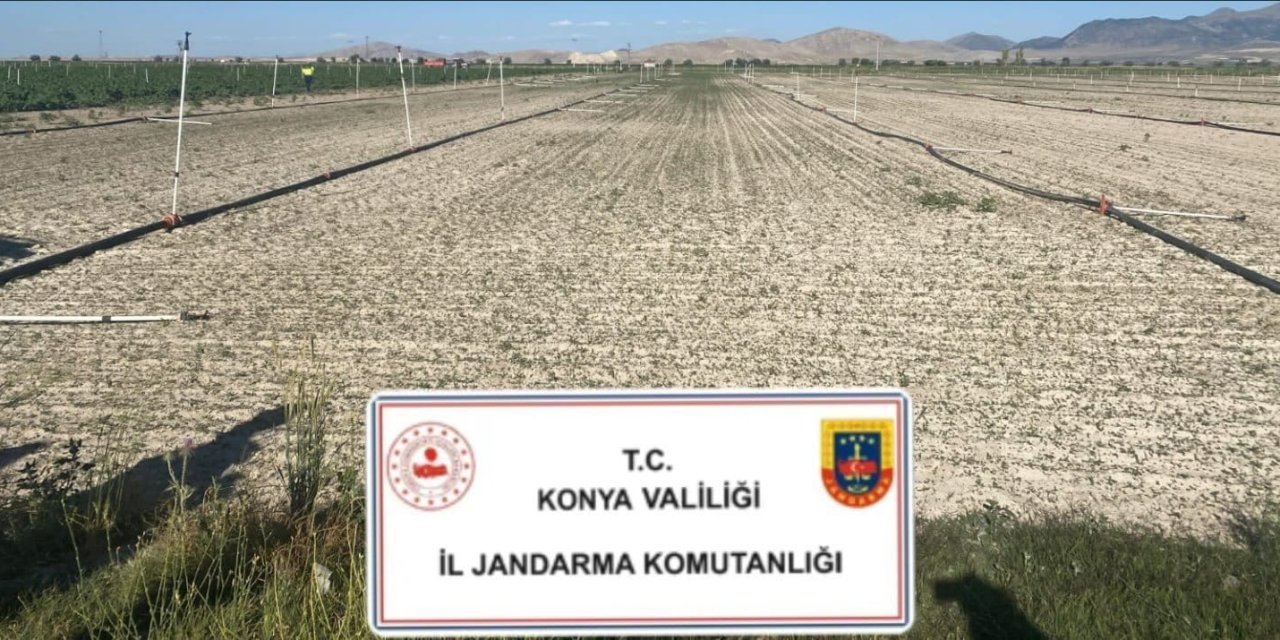 Konya’da uyuşturucu operasyonu! 2 ilçede 400 binden fazla ele geçirildi