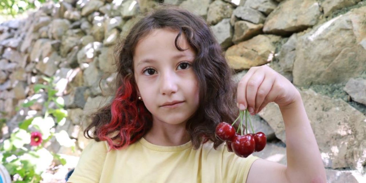 Konya’nın yükseklerinde hüzün dolu hasat