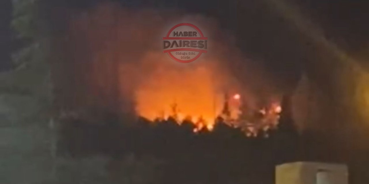 Konya’da havai fişek faciası! Akyokuş'ta ağaçlık alanda yangın