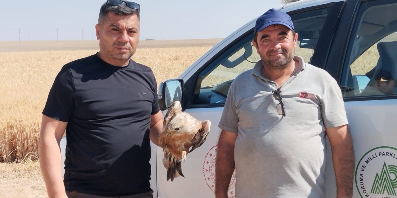 Konya’da çobanın duyarlı müdahalesiyle hayata döndü