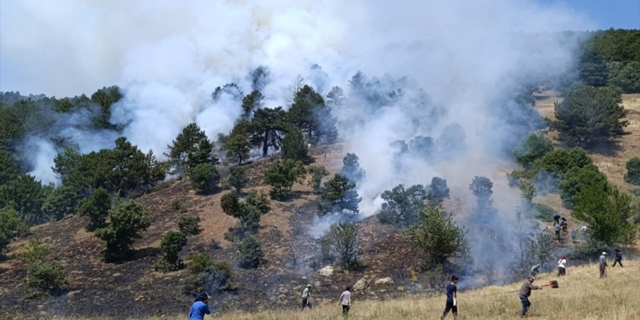 Konya Doğanhisar'da orman yangını çıktı