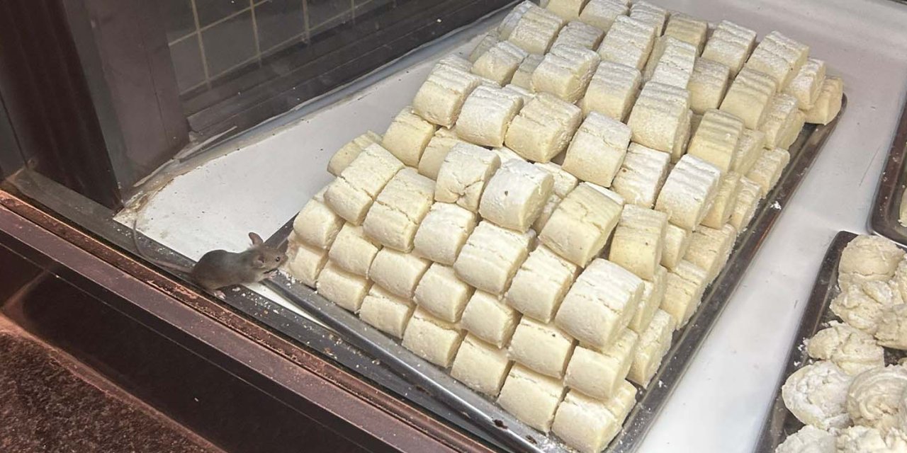 Konya’daki bir fırında skandal görüntü! Ürünlere el konuldu