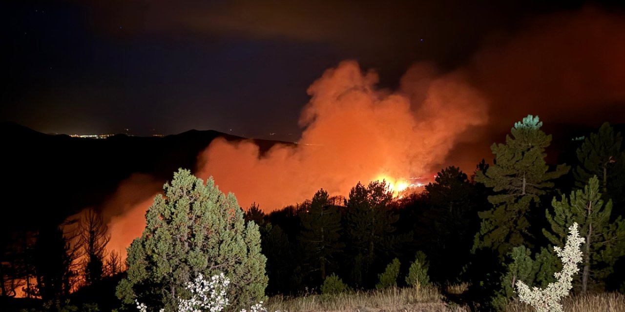Konya Doğanhisar’daki orman yangını hala söndürülemedi