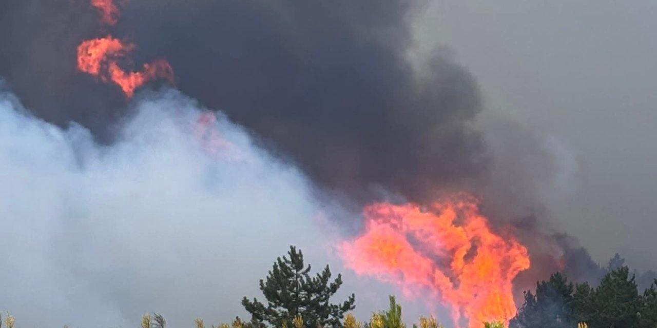Konya’da 2 gündür ormanları yanan ilçede yeni umut: Mucize bu