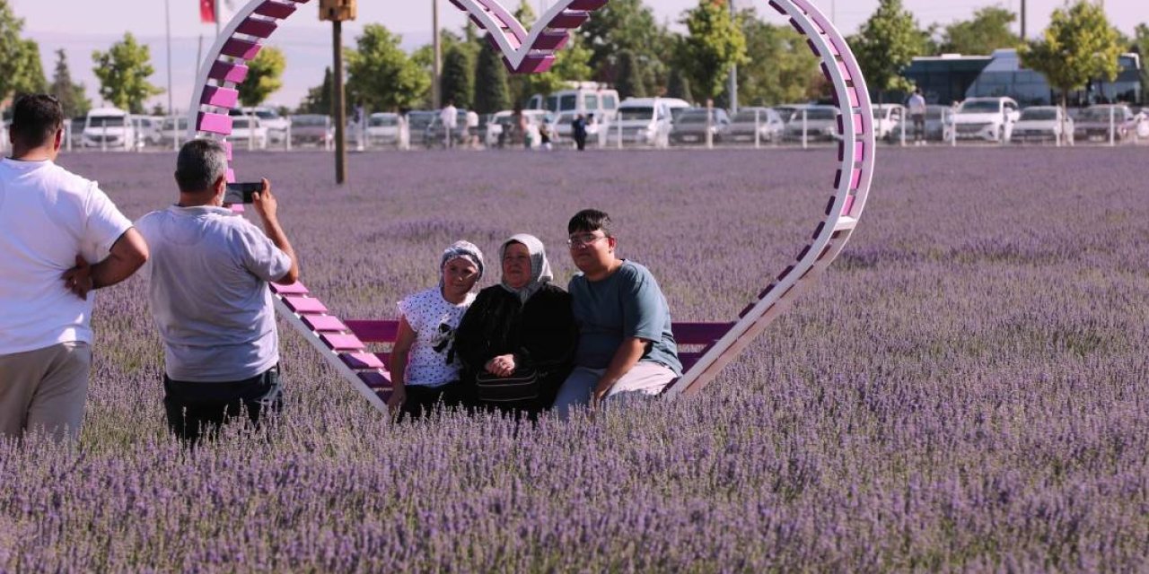 Konya’da lavanta büyüsü! Türkiye’nin en büyüğü dünyadan ziyaretçi ağırlıyor