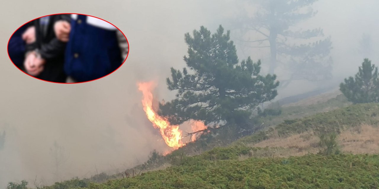 Konya’daki ormanı, çobanın çay ateşi yakmış