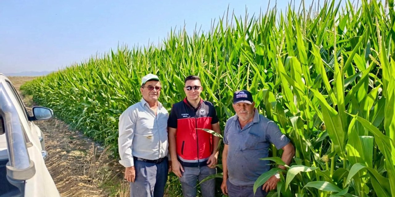 Konya'da ekipler tarlada, gözler verimde