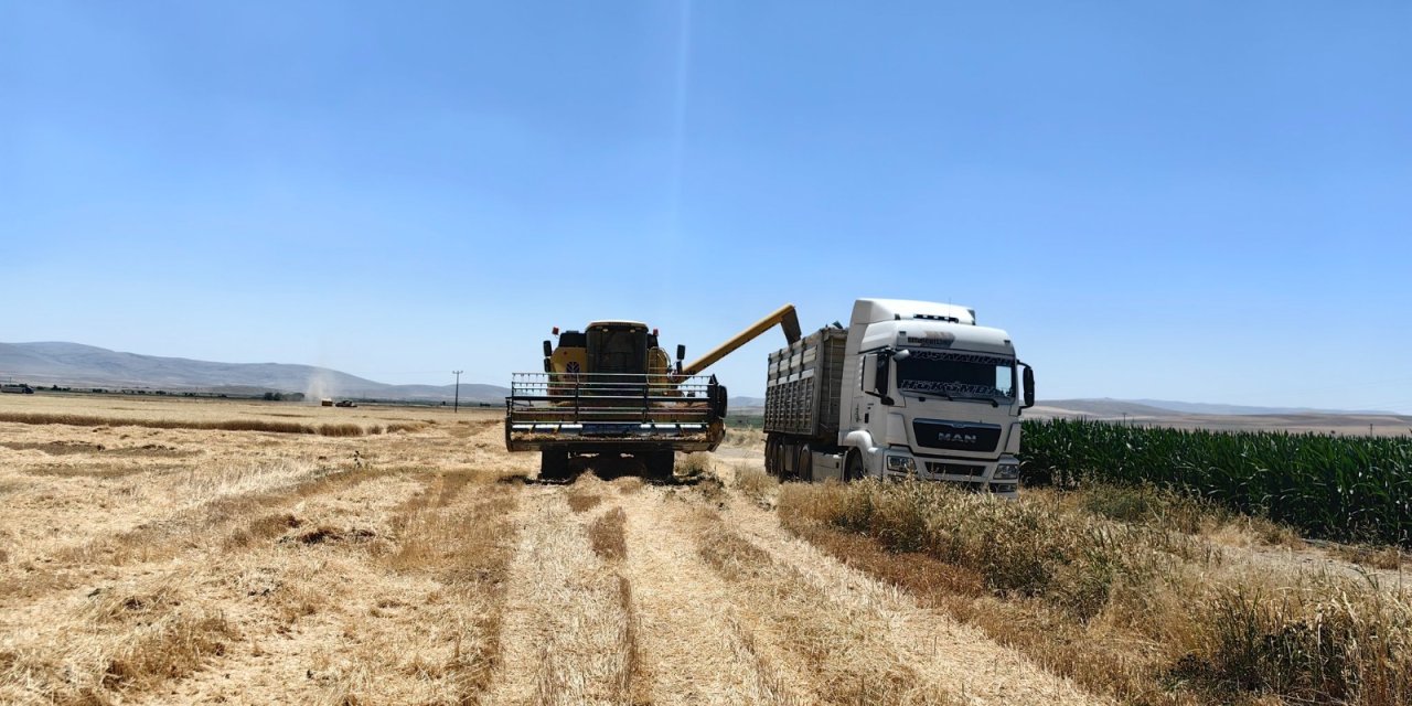 Konya’da sap fiyatları uçtu