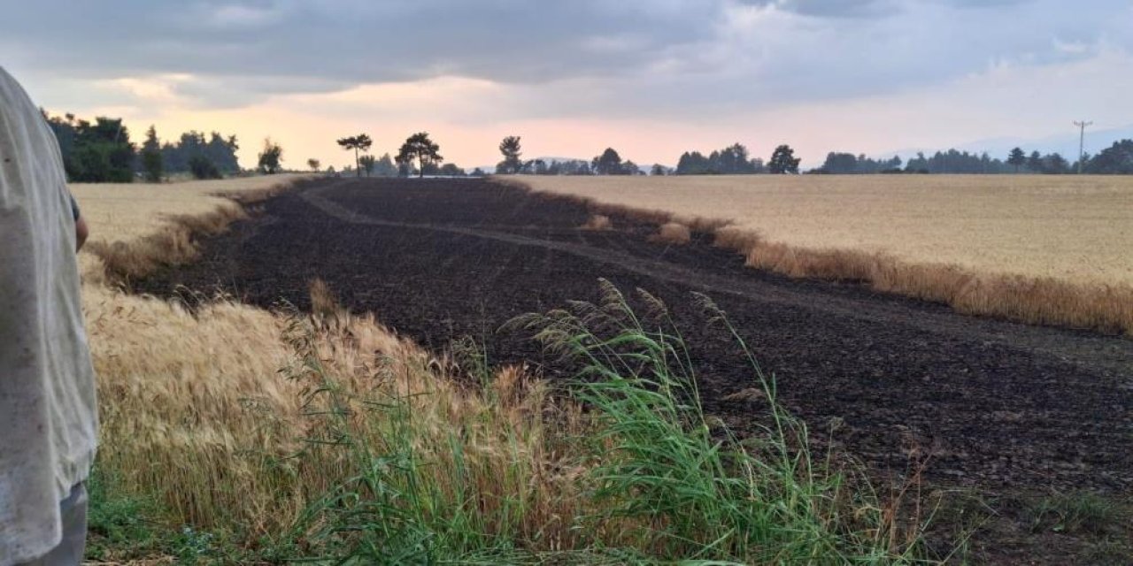Hasat bekleyen yaşlı çiftçinin emeği ziyan oldu