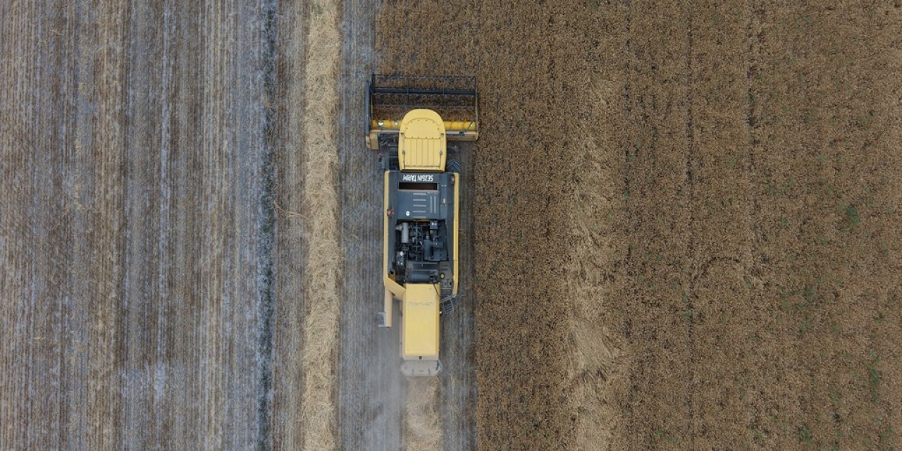 Konya Ovası’nda, kuraklık ve don nedeniyle rekoltede ciddi düşüş bekleniyor