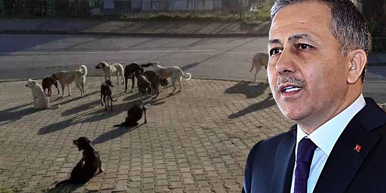 Bakan Yerlikaya’dan Konya dahil 30 büyükşehir ile kritik toplantı