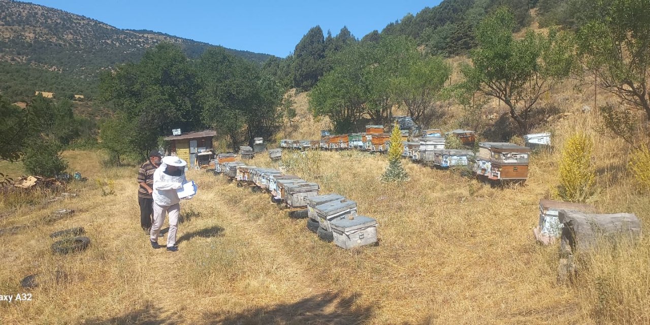 Konya’da gezen arı kovanları kayıt altına alınıyor