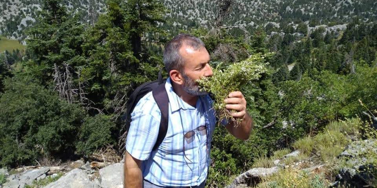 Konya ve Antalya yaylalarında hazine yetişiyor