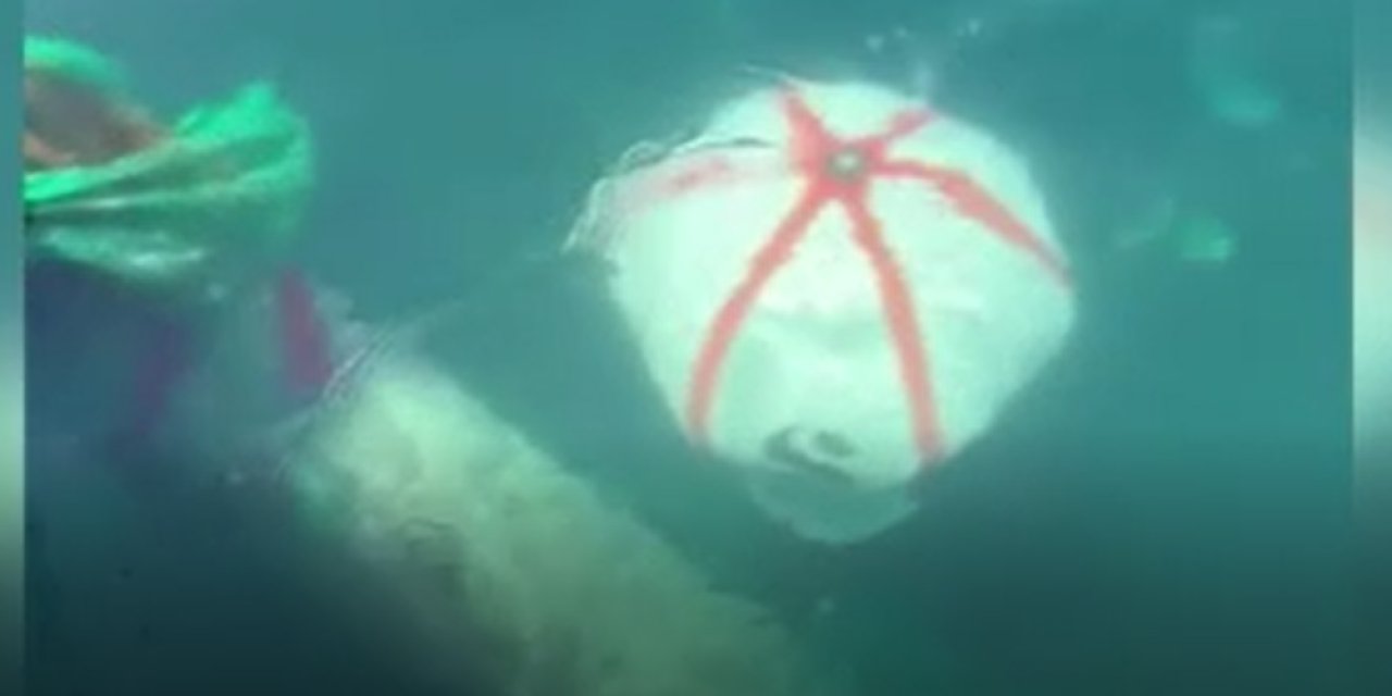 Ağlara balık değil 2 ton patlayıcı takıldı