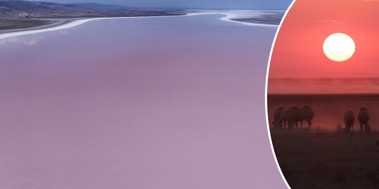 Kavurucu sıcaklar Tuz Gölü'nü kızarttı! Bakteriler cirit atıyor