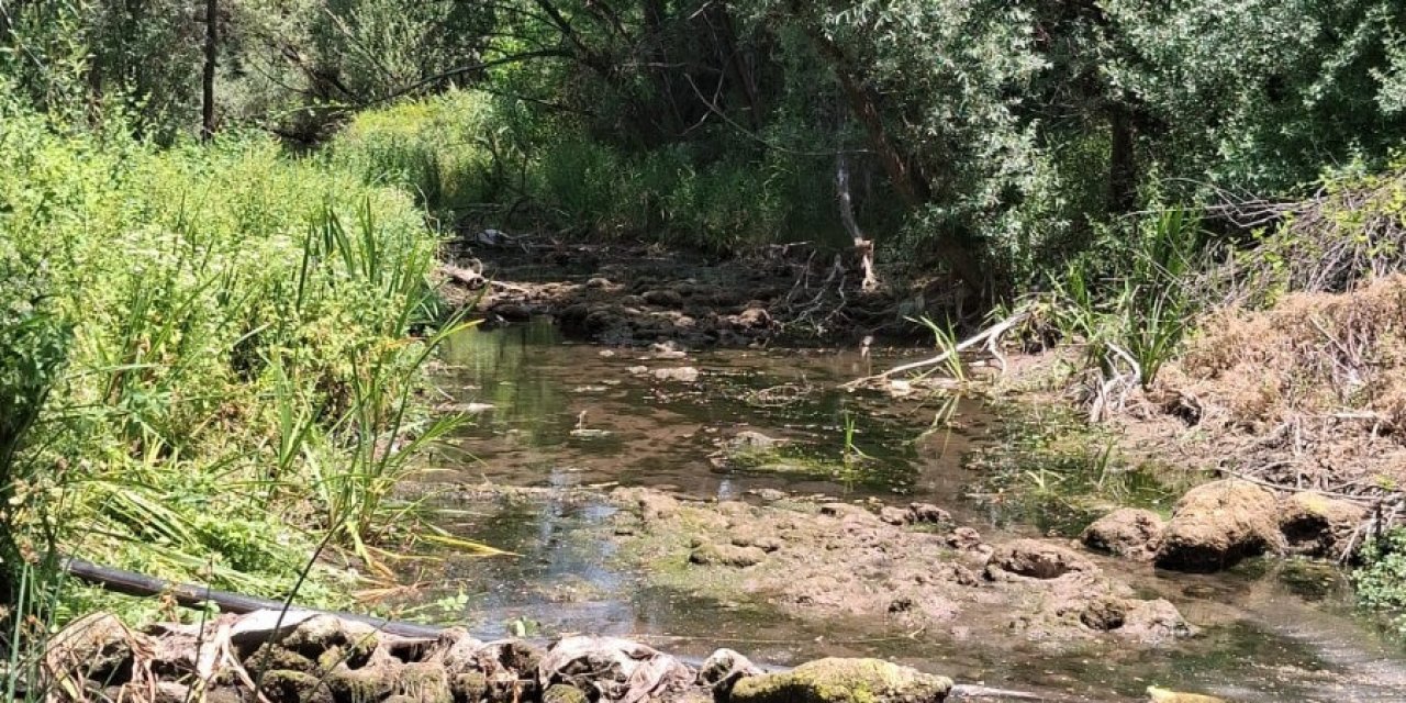 Konya'nın can damarını besleyen kaynaklar kurudu