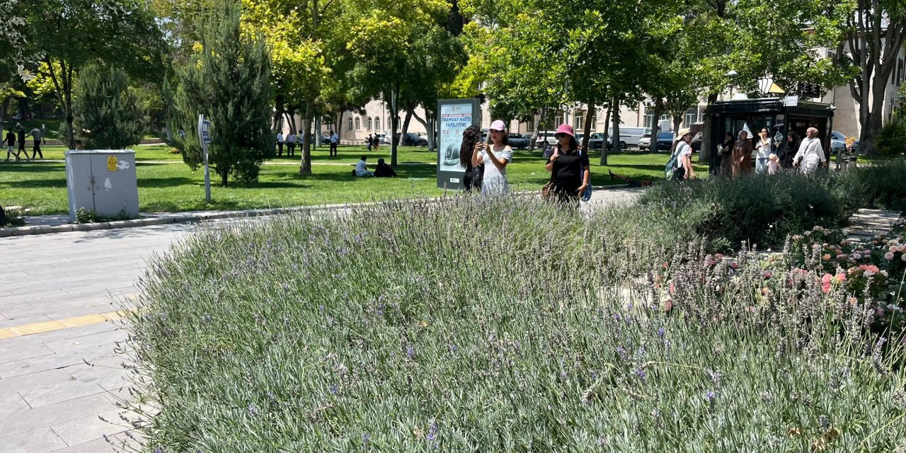 Konya yeniden kavrulmaya başladı