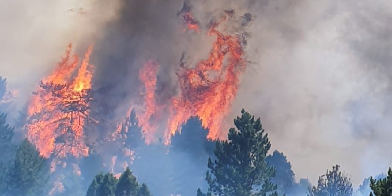 Konya Doğanhisar'daki yangının sebebi belli oldu