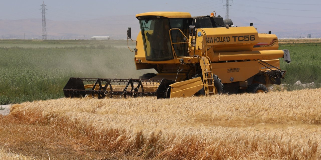 Türkiye'nin ekmek teknesi susuz kaldı! Konya'da büyük kayıp