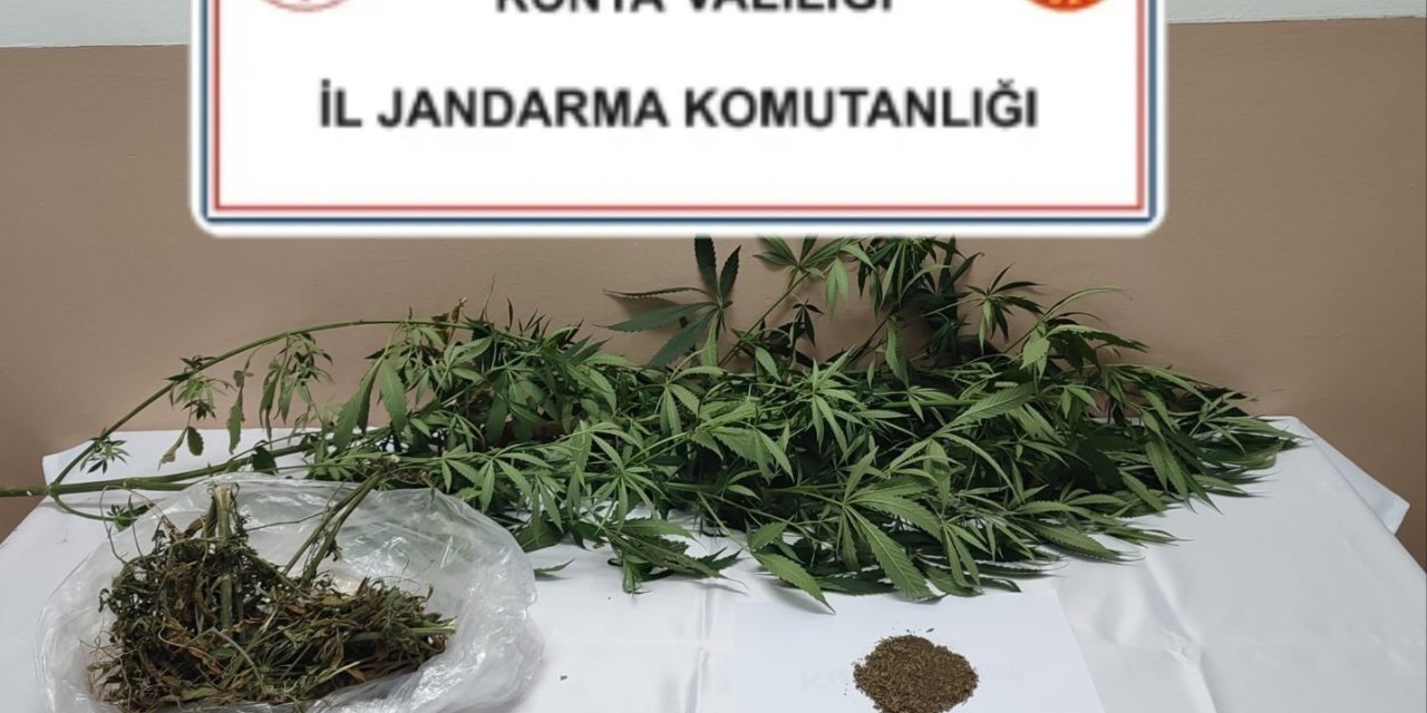 Konya’nın 2 ilçesinde jandarmadan zehir tacirlerine darbe