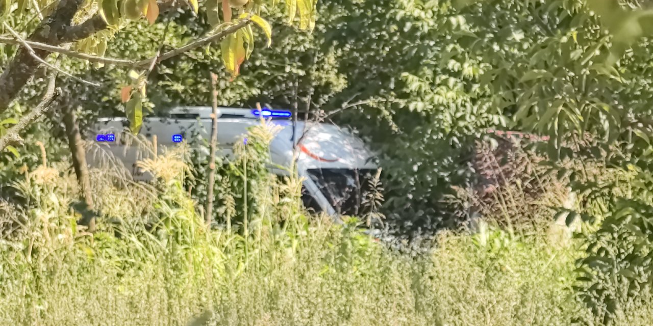 Tarlaya gidenler hemen jandarmayı aradı