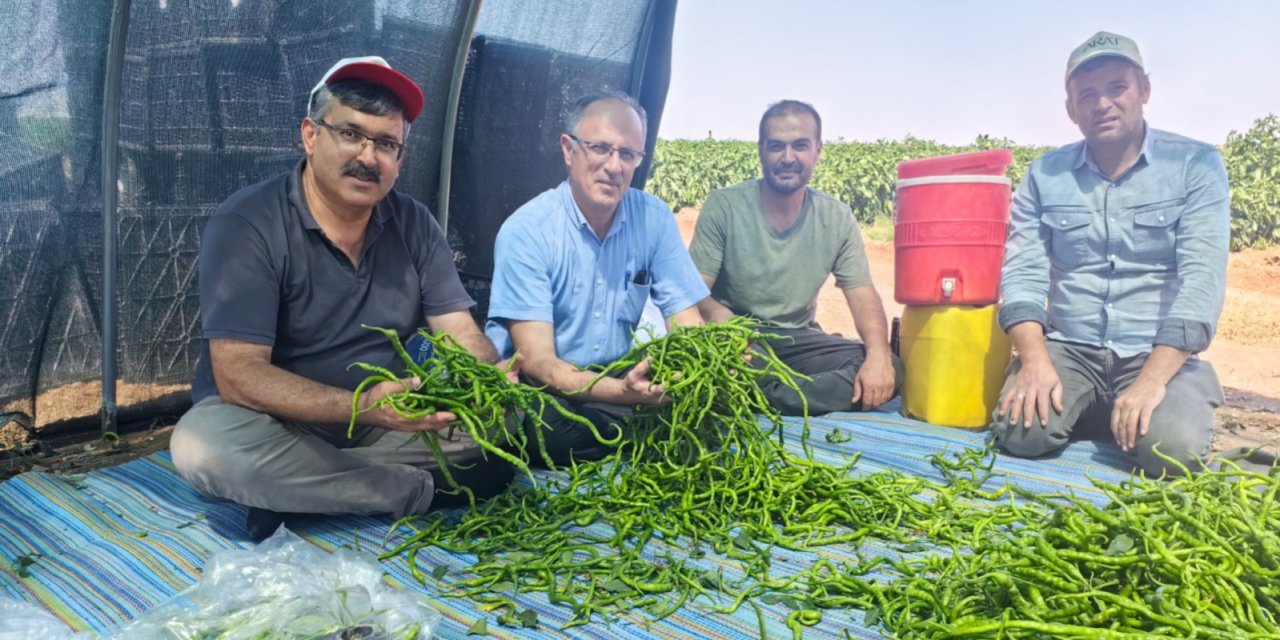 Konya’da sebze üreticisi zarar telafisi peşinde