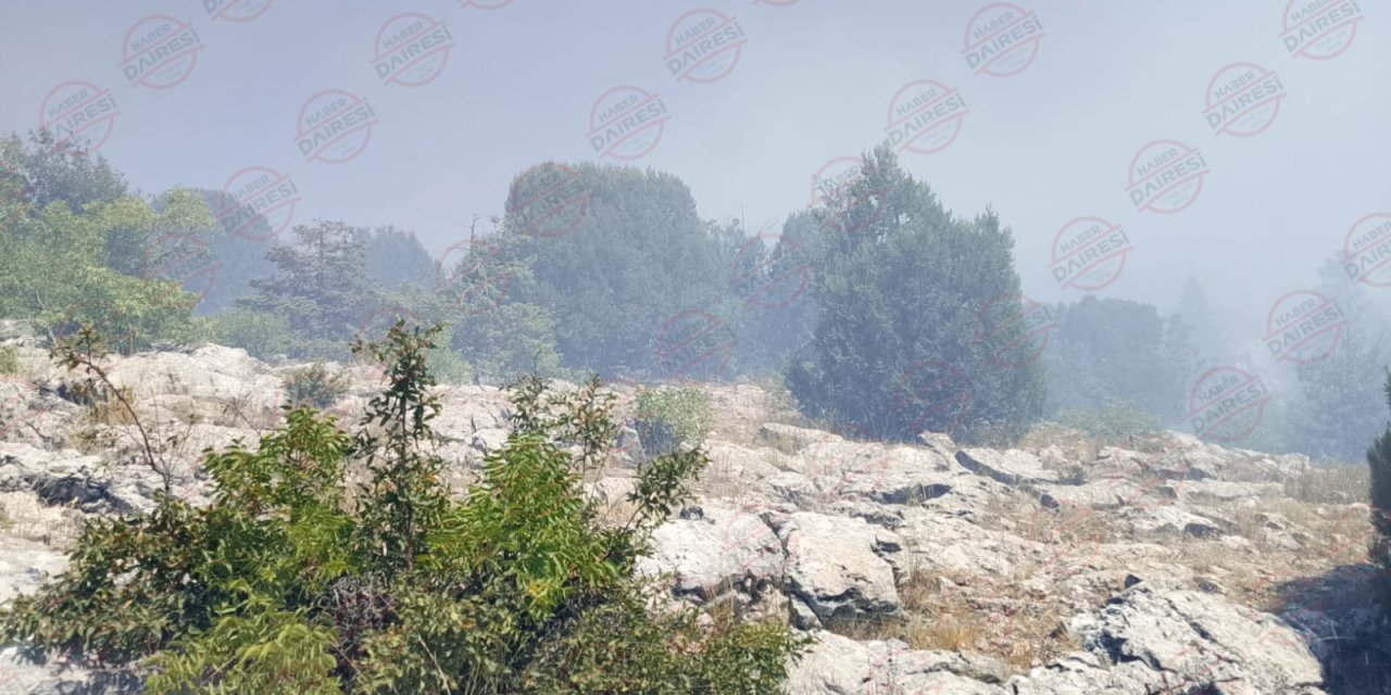 Konya Beyşehir'de orman yangını