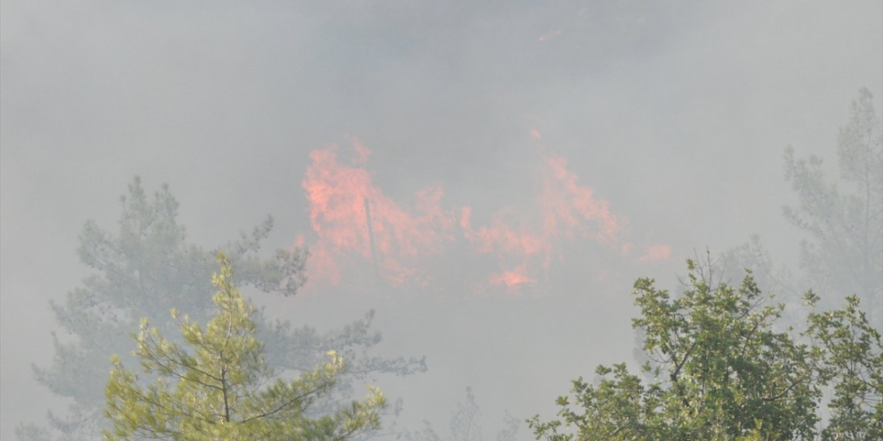 Mersin Silifke’de orman yangını çıktı