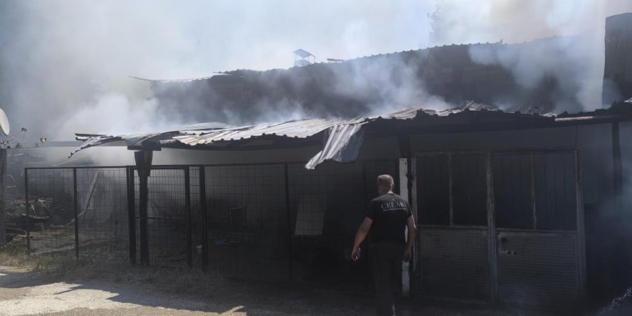 Alev topuna dönen evde uyuyakaldı