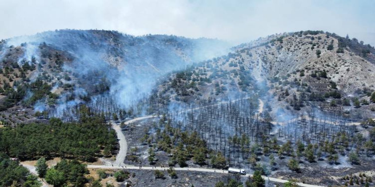 Eymir Gölü yakınlarında orman yangın çıktı