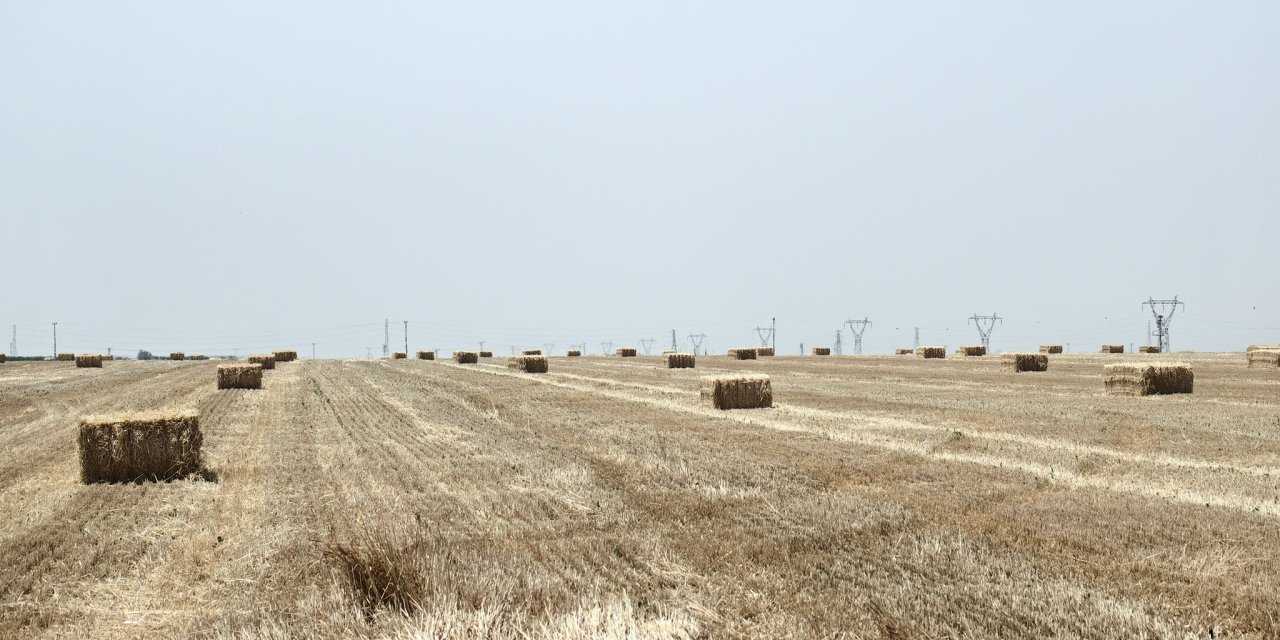 Konya’da iki genç çiftçi denedi, tarla konuştu