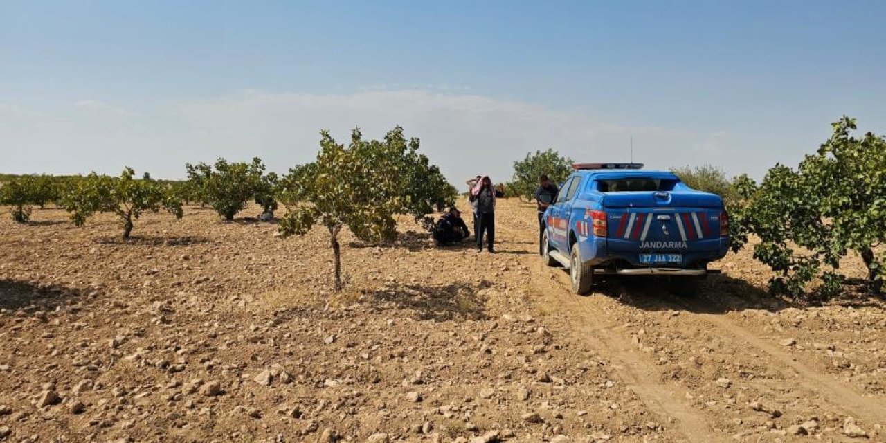 Sıcak havada hasat yaparken hayatını kaybetti