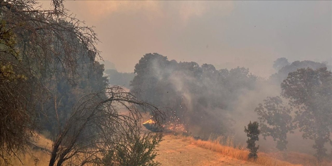 Çıkan orman yangınlarının yüzde 90'ı insan kaynaklı
