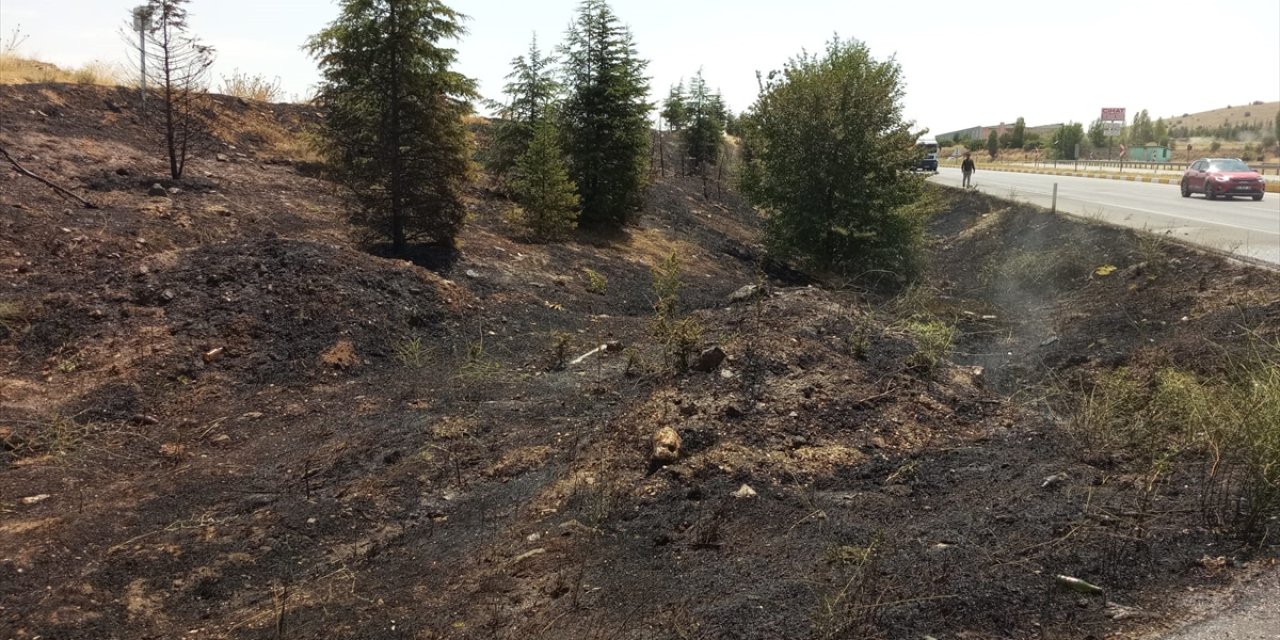 Konya'da yol kenarında çıkan yangın ağaçlara sıçradı