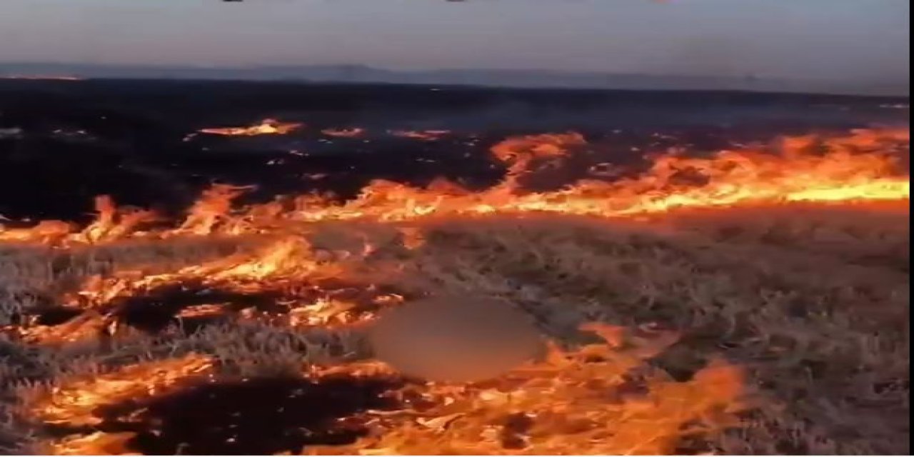 Tarlayı yakıp videosunu paylaştı! Jandarma kapıya dayandı